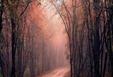 上市公司的股票行情:什么app可以看股票-习近平在上海合作组织成员国元首理事会第二十五次会议上的讲话（全文）