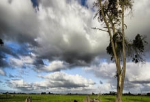 证券配资开户:怎样买手机上买股票-狂买49亿股!险资二季度重仓买了这些 投资者能“抄作业”吗